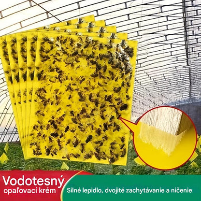 🔥✨【Zniżka 50%】💥【60 szt.】Żółta dwustronna pułapka lepowa na owady