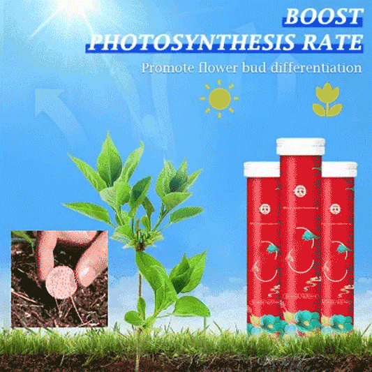 🔥【Cumpără o sticlă, primești una gratis】2 sticle cu 44 de tablete🌱Tablete universale pentru nutriția plantelor---🪴Îngrășământ pentru plante