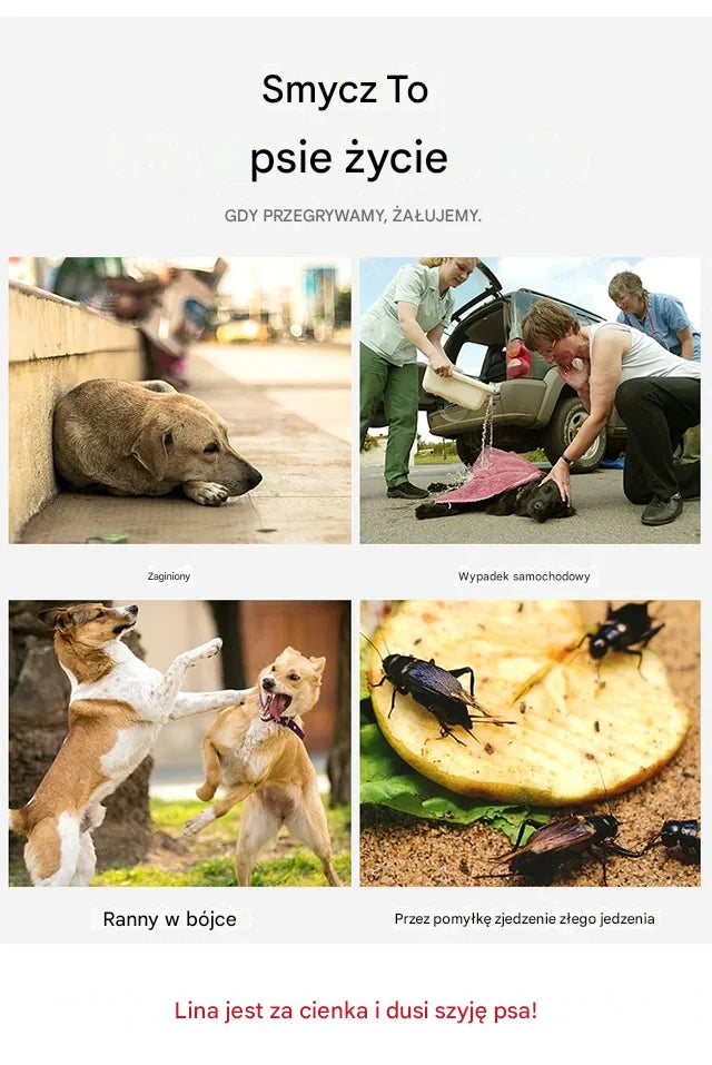 🐶【5-30KG】Szelki dla psa bez ciągnięcia dla zwierząt domowych