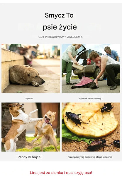 🐶【5-30KG】Szelki dla psa bez ciągnięcia dla zwierząt domowych