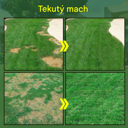 🌿🌿【2 kusy】Tekutý prípravok na starostlivosť o trávnik, tekutá živina na sadenie trávy