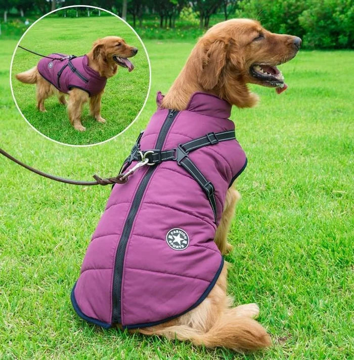 🐶❄️【50 % popust】Prodajna uspešnica 2025 – Jesenska in zimska vodoodporna in topla smučarska oblačila za hišne ljubljenčke