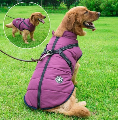 🐶❄️【50 % popust】Prodajna uspešnica 2025 – Jesenska in zimska vodoodporna in topla smučarska oblačila za hišne ljubljenčke