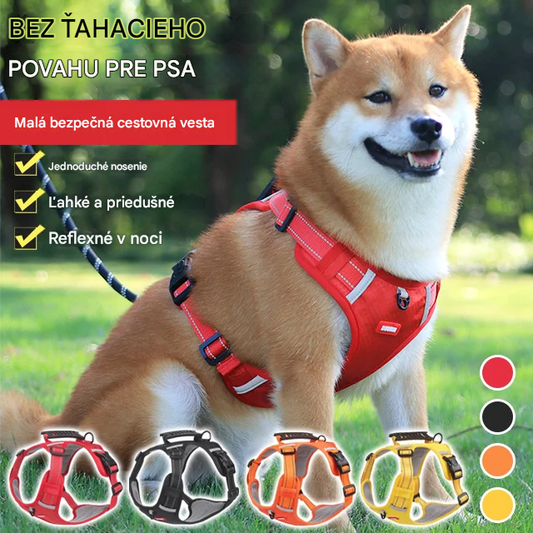🐶【5-30 kg】Postroj pre domáce zvieratá bez napätia