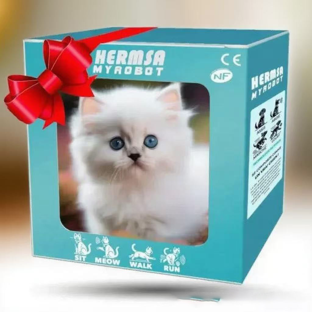 🎁🐱【✨Compra uno y llévate otro gratis】🔥Mi gatito robot de peluche más vendido en 2025