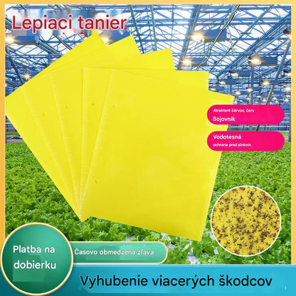 🔥✨【Zniżka 50%】💥【60 szt.】Żółta dwustronna pułapka lepowa na owady