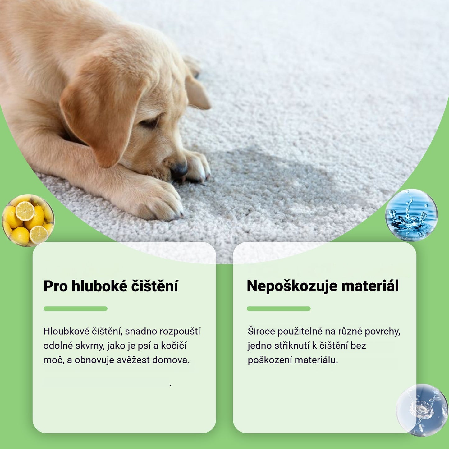 ✨50%OFF🐶🐱Odstraňovač škvŕn pre domáce zvieratá, mačky a psy
