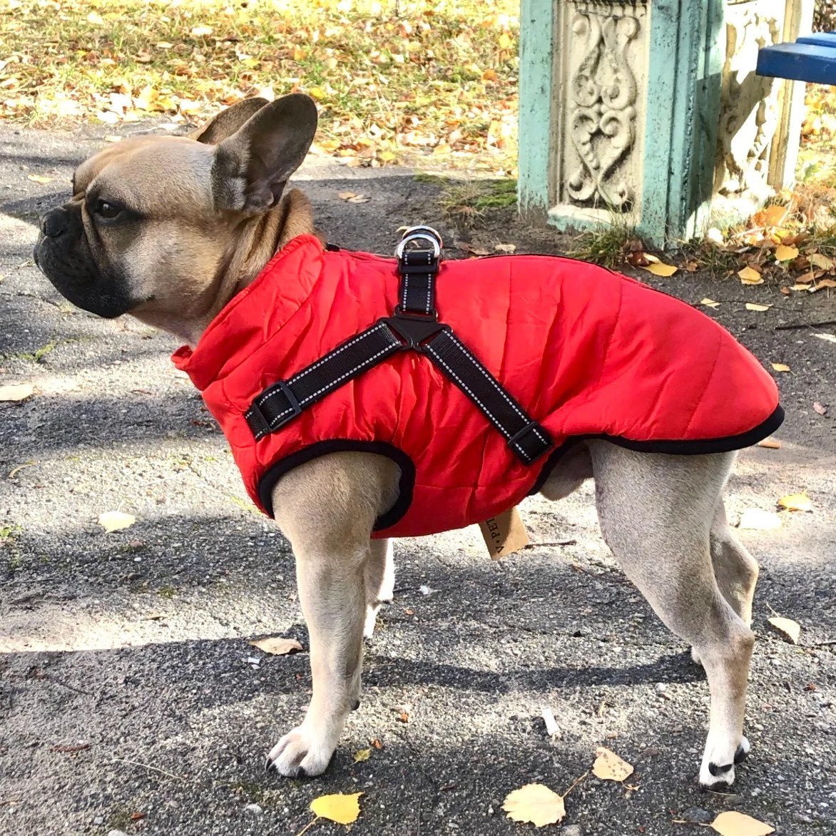 🐶❄️【50 % popust】Prodajna uspešnica 2025 – Jesenska in zimska vodoodporna in topla smučarska oblačila za hišne ljubljenčke