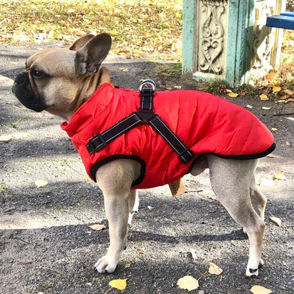 🐶❄️【50 % popust】Prodajna uspešnica 2025 – Jesenska in zimska vodoodporna in topla smučarska oblačila za hišne ljubljenčke