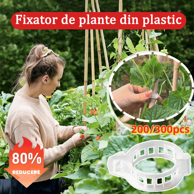 【🔥200piezas】Clip de fijación para el crecimiento de plantas de plántula