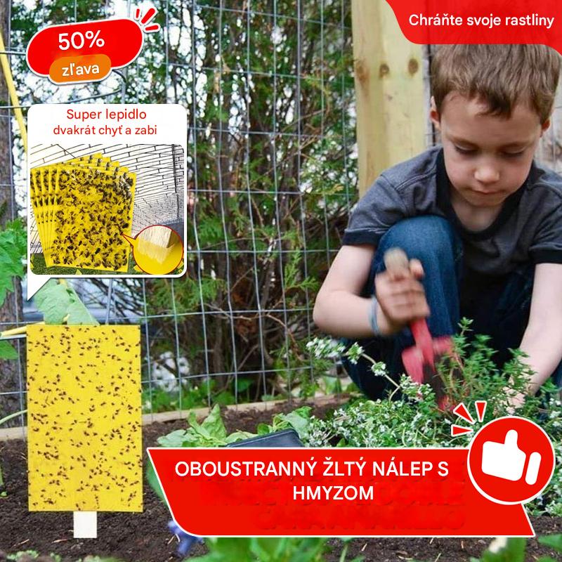 🔥✨【Zniżka 50%】💥【60 szt.】Żółta dwustronna pułapka lepowa na owady