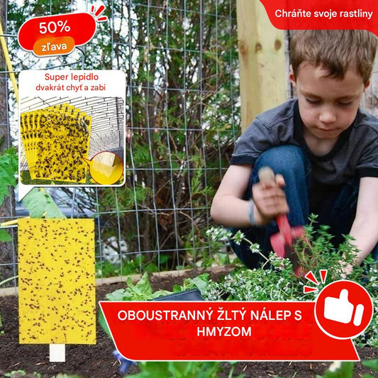 🔥✨【Zľava 50%】💥【60 ks.】Žltá obojstranná lepiaca nástenka proti hmyzu