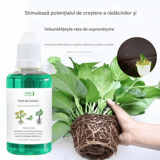 🌱💥Ostatnie 2 dni 30% zniżki【Kup 1, dostaniesz 2】🌱🌱🌱Nawóz wspomagający wzrost roślin