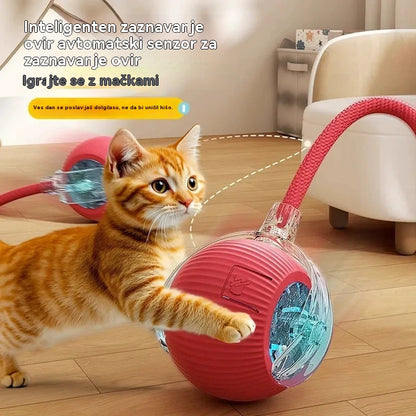 🐱🐕【Kupite 1, dobite 1 gratis】Pametna gravitacijska žogica za hišne ljubljenčke - električna mačja žogica (vodoodporna)