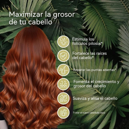 【50% de descuento】Aceite esencial de primera calidad para el cabello