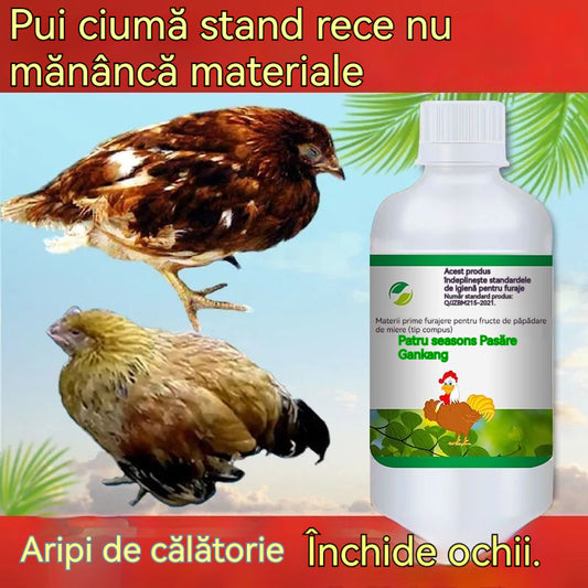 Păsări Four Seasons ✅Răceli de găini, rațe și gâscă ✅Tuse sforăitoare ✅Antivirală ✅Febra de pui ✅General pentru porci, bovine și oi