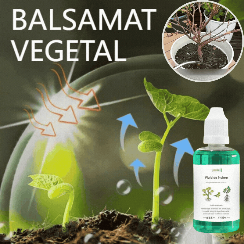 🌱💥Ostatnie 2 dni 30% zniżki【Kup 1, dostaniesz 2】🌱🌱🌱Nawóz wspomagający wzrost roślin