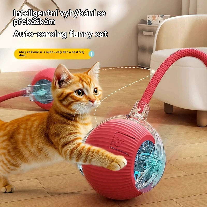 🐱🐕【Kúpte 1, získajte 1 zadarmo】Chytrá gravitačná lopta pre domácich miláčikov - elektrická lopta pre mačky (vodeodolná)