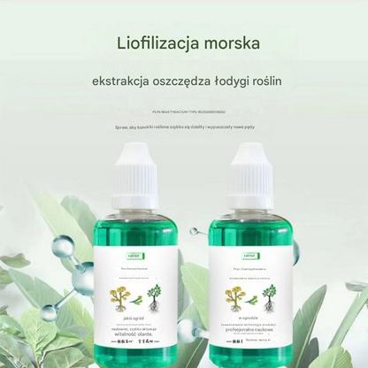 🌱💥Ostatnie 2 dni 30% zniżki【Kup 1, dostaniesz 2】🌱🌱🌱Nawóz wspomagający wzrost roślin