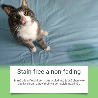 ✨50%OFF🐶🐱Odstraňovač škvŕn pre domáce zvieratá, mačky a psy